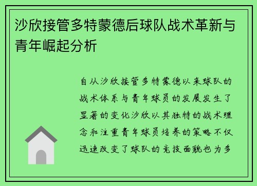 沙欣接管多特蒙德后球队战术革新与青年崛起分析 沙欣接管多特蒙德后球队战术革新与青年崛起分析