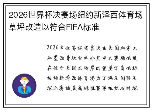2026世界杯决赛场纽约新泽西体育场草坪改造以符合FIFA标准 2026世界杯决赛场纽约新泽西体育场草坪改造以符合FIFA标准